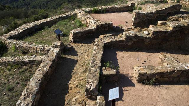 Restos de muros de piedra del Poblado Ibérico Puig Castellar en Santa Coloma de Gramenet